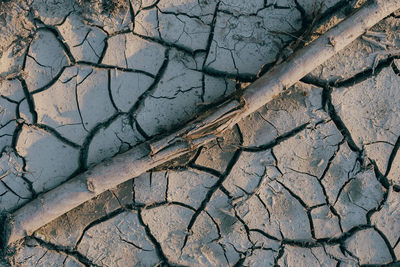 Branche à moitié cassée sur un sol boueux sec et fissuré, une texture de surface sèche du sol pendant la saison de sécheresse