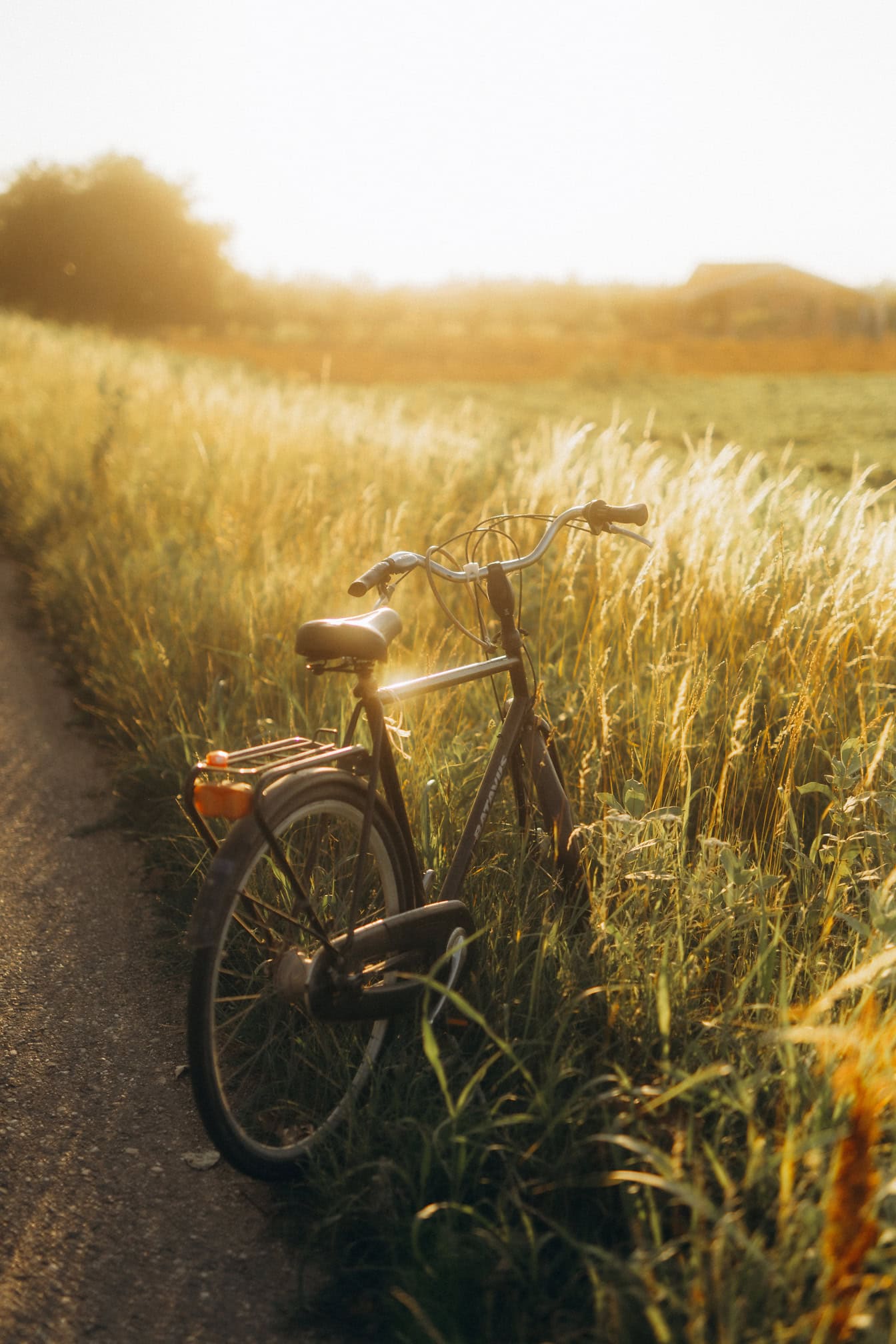 Bicicletta nera parcheggiata su una strada di campagna in erba alta retroilluminata dalla luce del sole