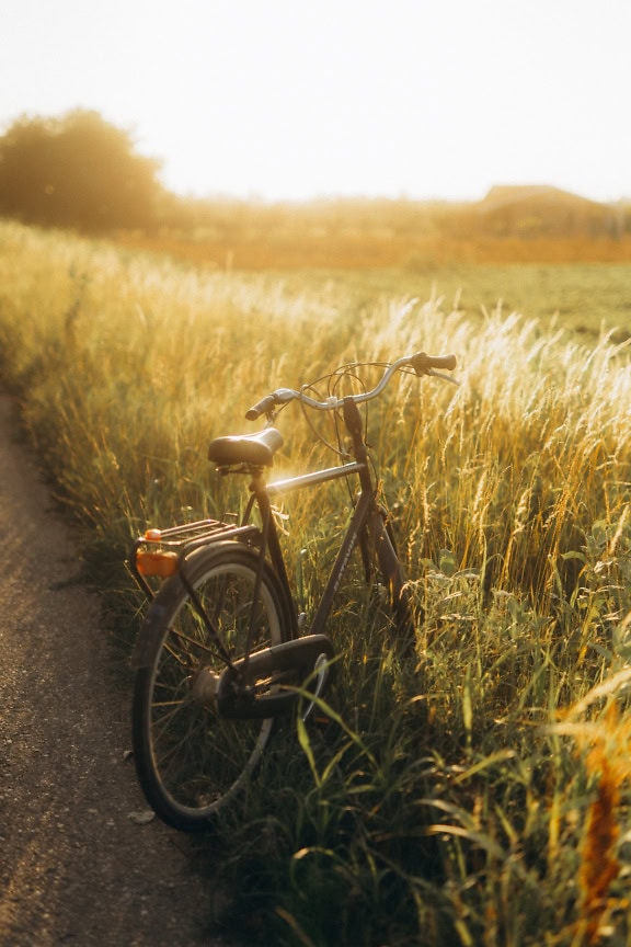 Black bicycle parked on a countryside road in tall grass backlit with sunlight