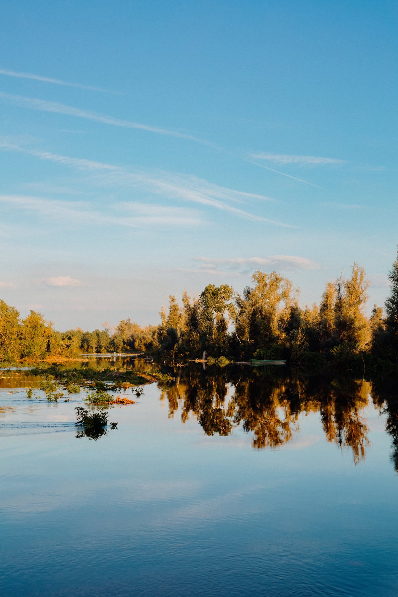 Flodslätt av Donau flod med översvämmade poppelträd på flodstranden