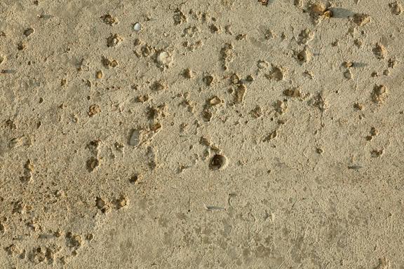 A texture of a light brown concrete with a rough surface with tiny holes