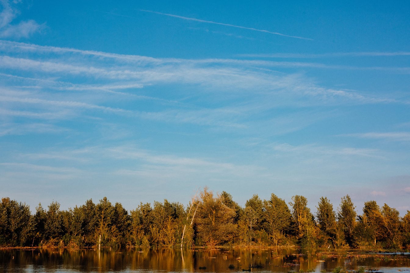 Povodňová voda so zaplavenými stromami a jasnou modrou oblohou