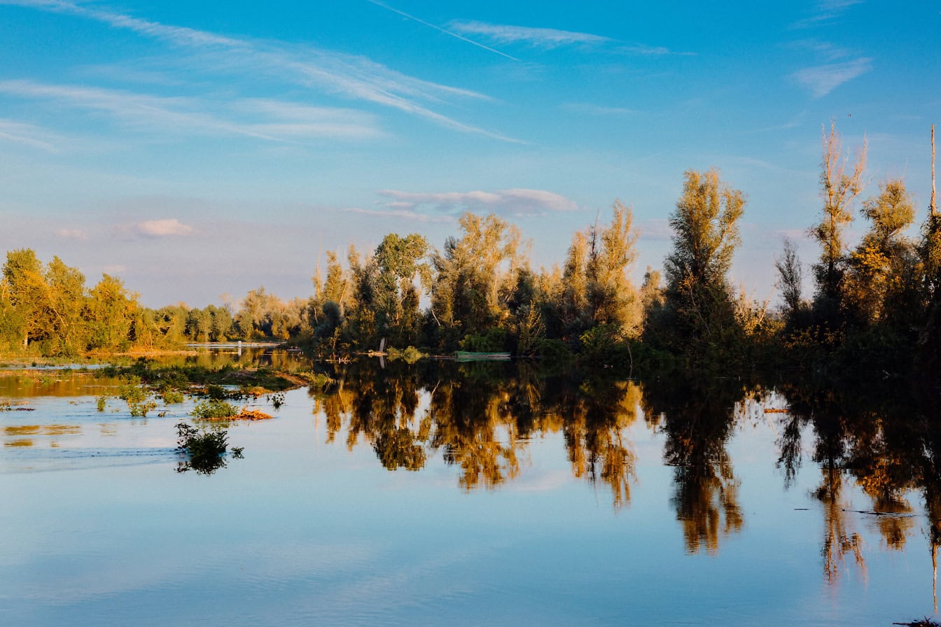 Паводковая вода с деревьями и голубым небом