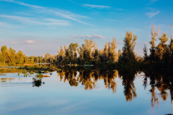 Паводкова вода з деревами і блакитним небом