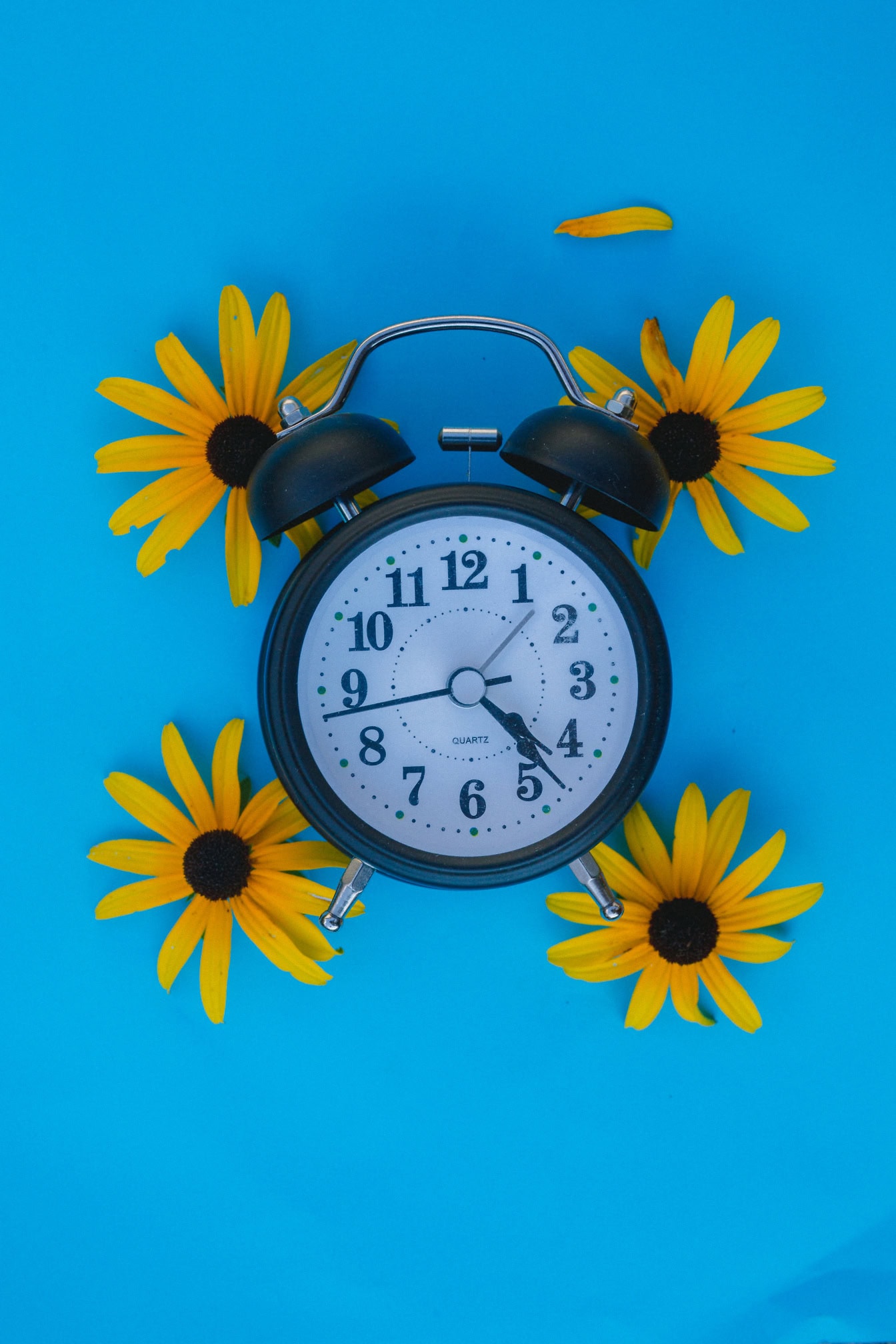 Gammeldags analogt sort ur med vækkeklokker dekoreret med gule blomster på blå overflade