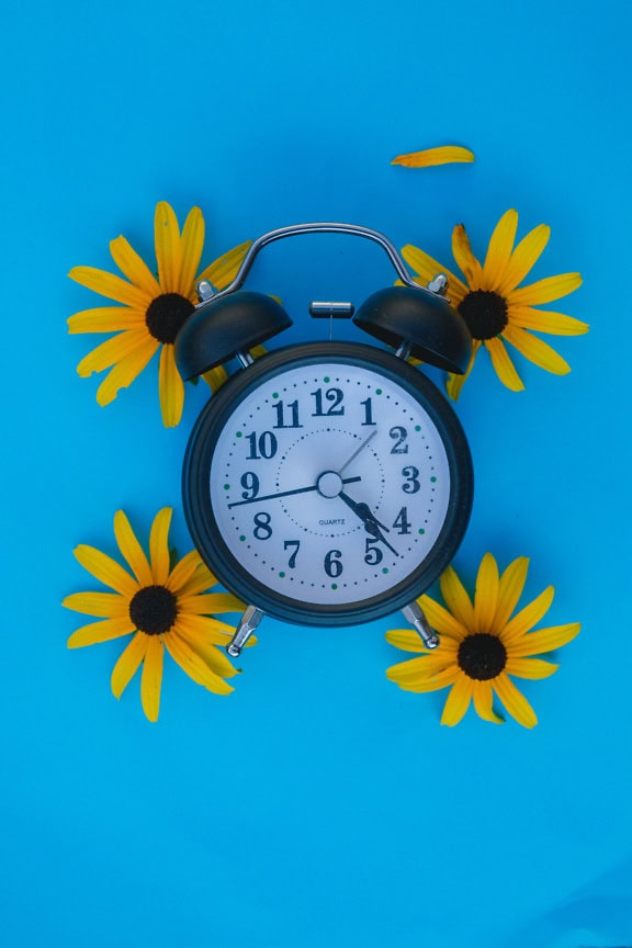 Old-fashioned analog black clock with alarm wake-up bells decorated with yellow flowers on blue surface