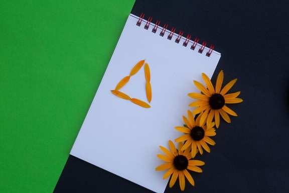 Blank white paper of a spiral notebook with petals arranged in the shape of a triangle and yellow flowers on it