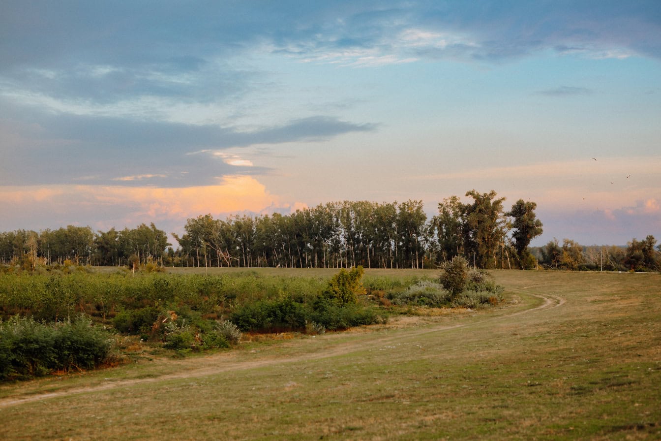 Een onverharde weg op het platteland door een groen veld met bomen