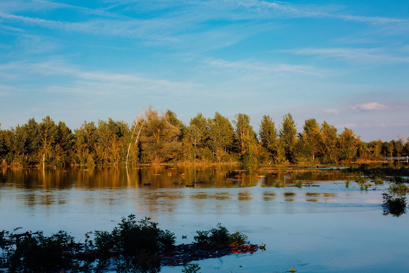 Järviveden maisema koskemattomassa luonnossa puiden kanssa luonnonsuojelualueella