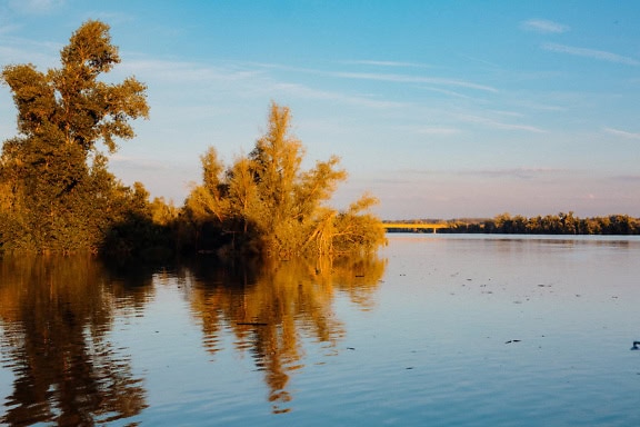 Water with trees and a bridge in the distance