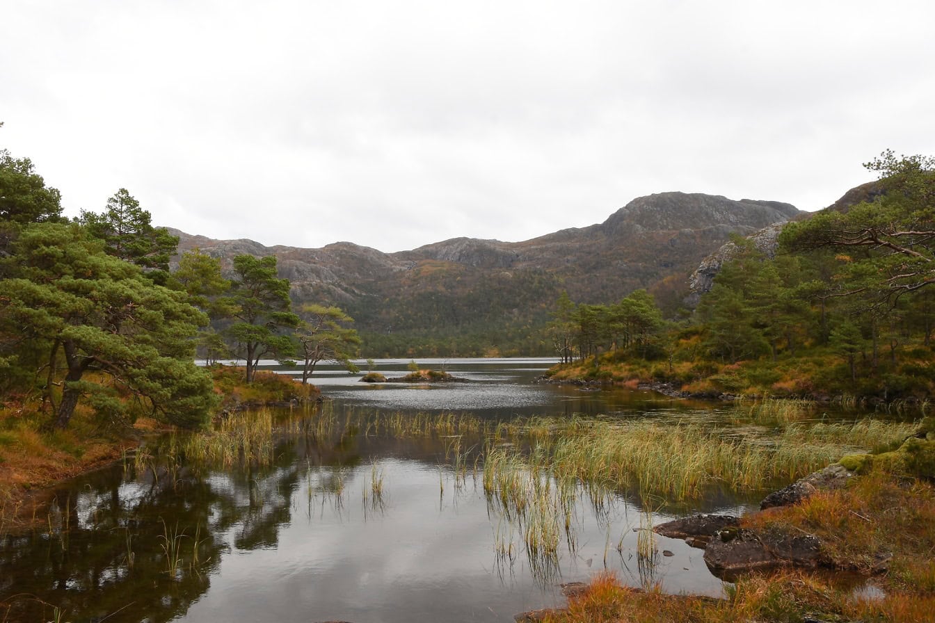 ノルウェーの高地にある木々や山々に囲まれた湖