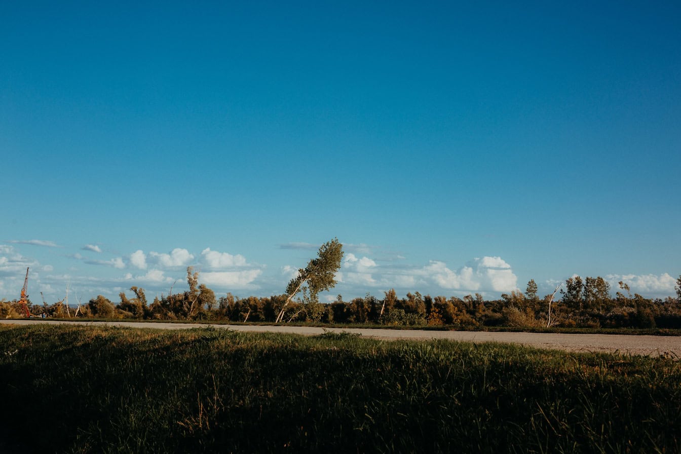 Ländliches Feld mit Bäumen und blauem Himmel