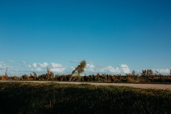 Ladang pedesaan dengan pepohonan dan langit biru