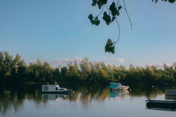 เรือสันทนาการและเรือประมงบนทะเลสาบที่มีต้นไม้บนชายฝั่ง