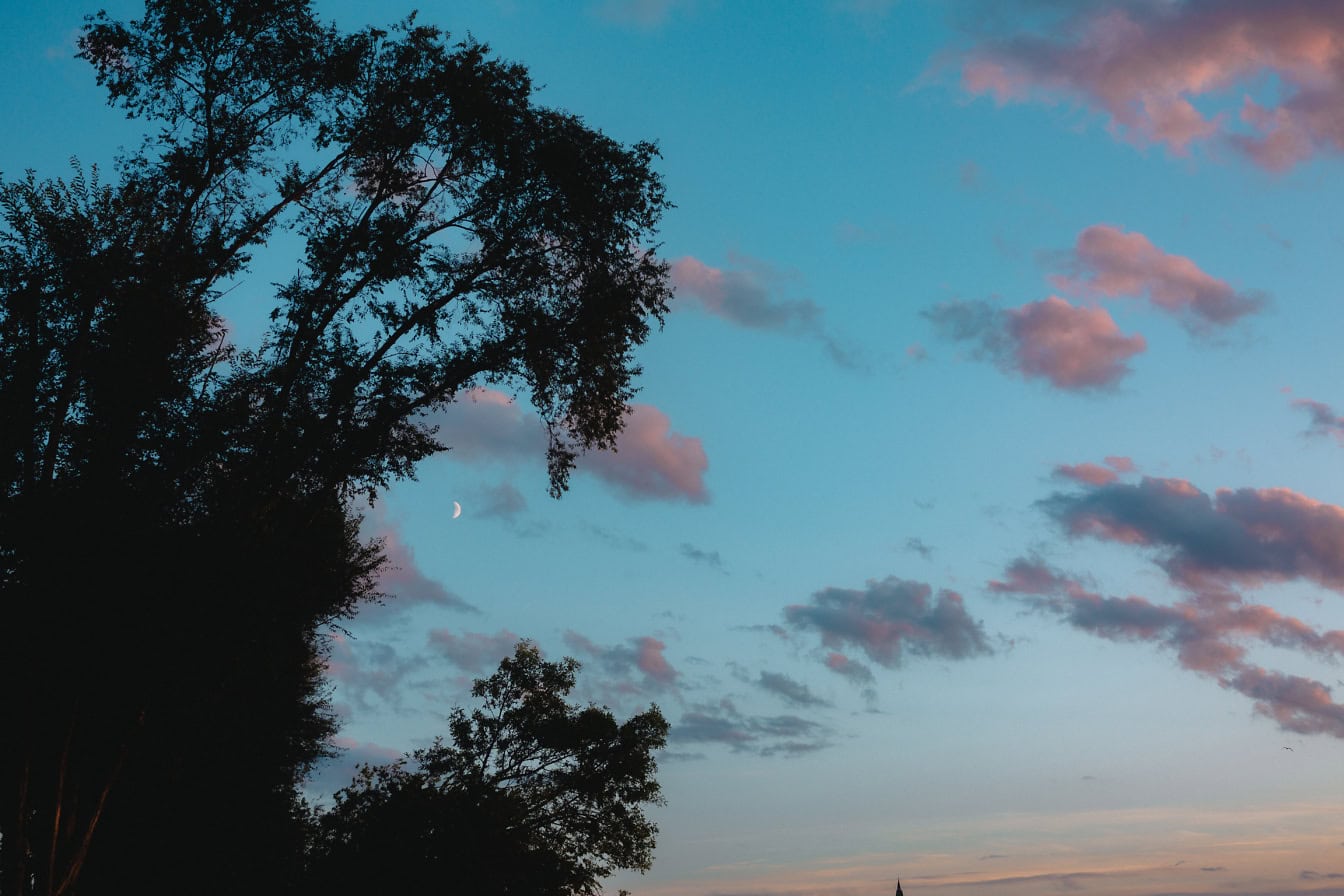 Silhouette von Bäumen in der Abenddämmerung mit blauem Himmel und Wolken