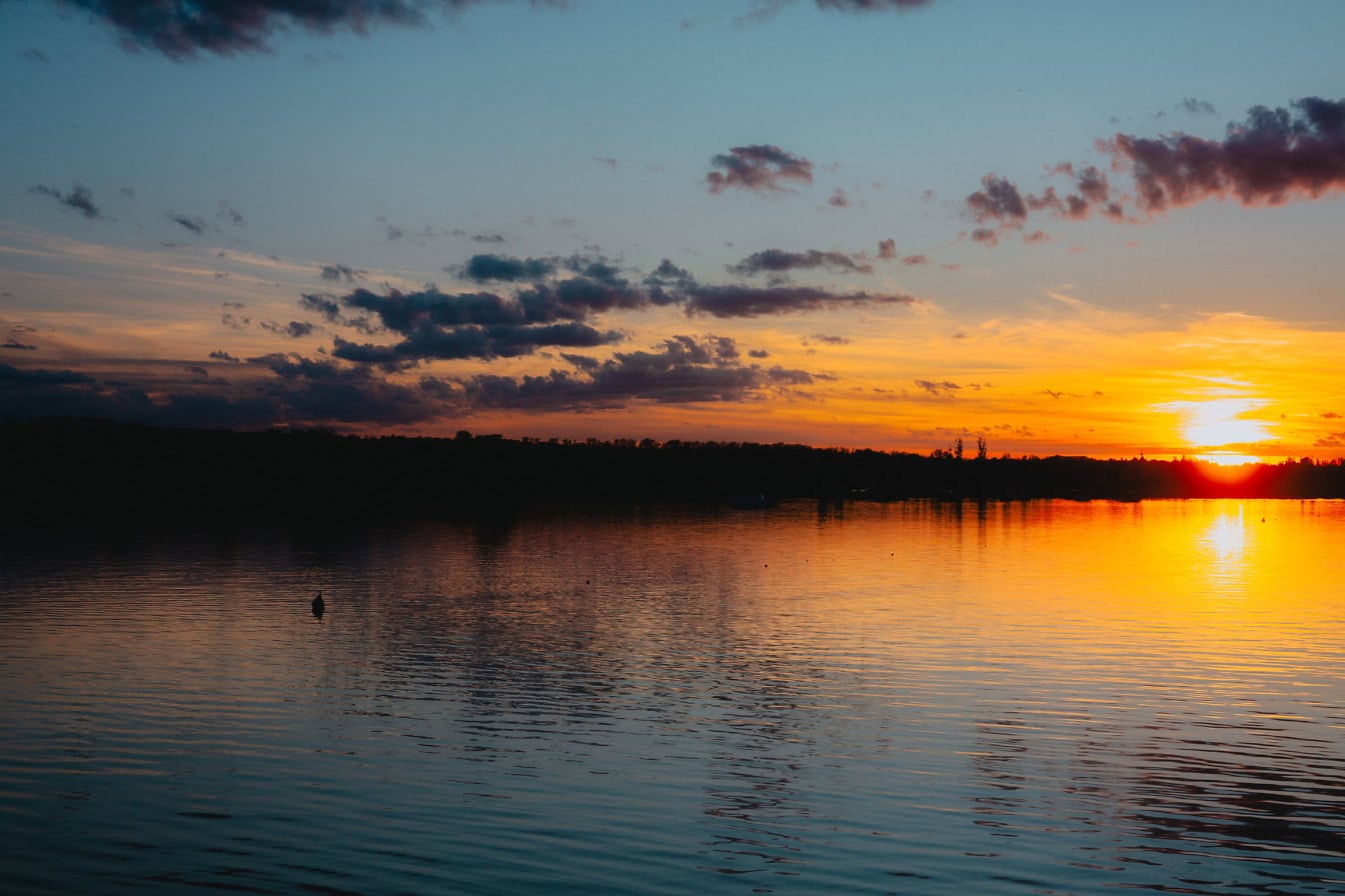 Soluppgång över en sjö med livligt orange-gult solljus som reflekteras från vattenhorisonten