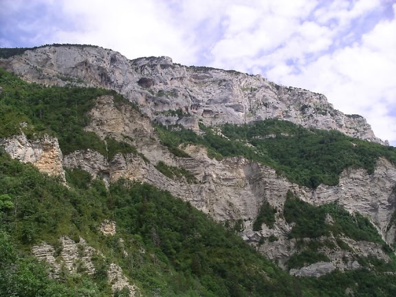 一座拥有岩石悬崖和悬崖和山坡上的树木的山