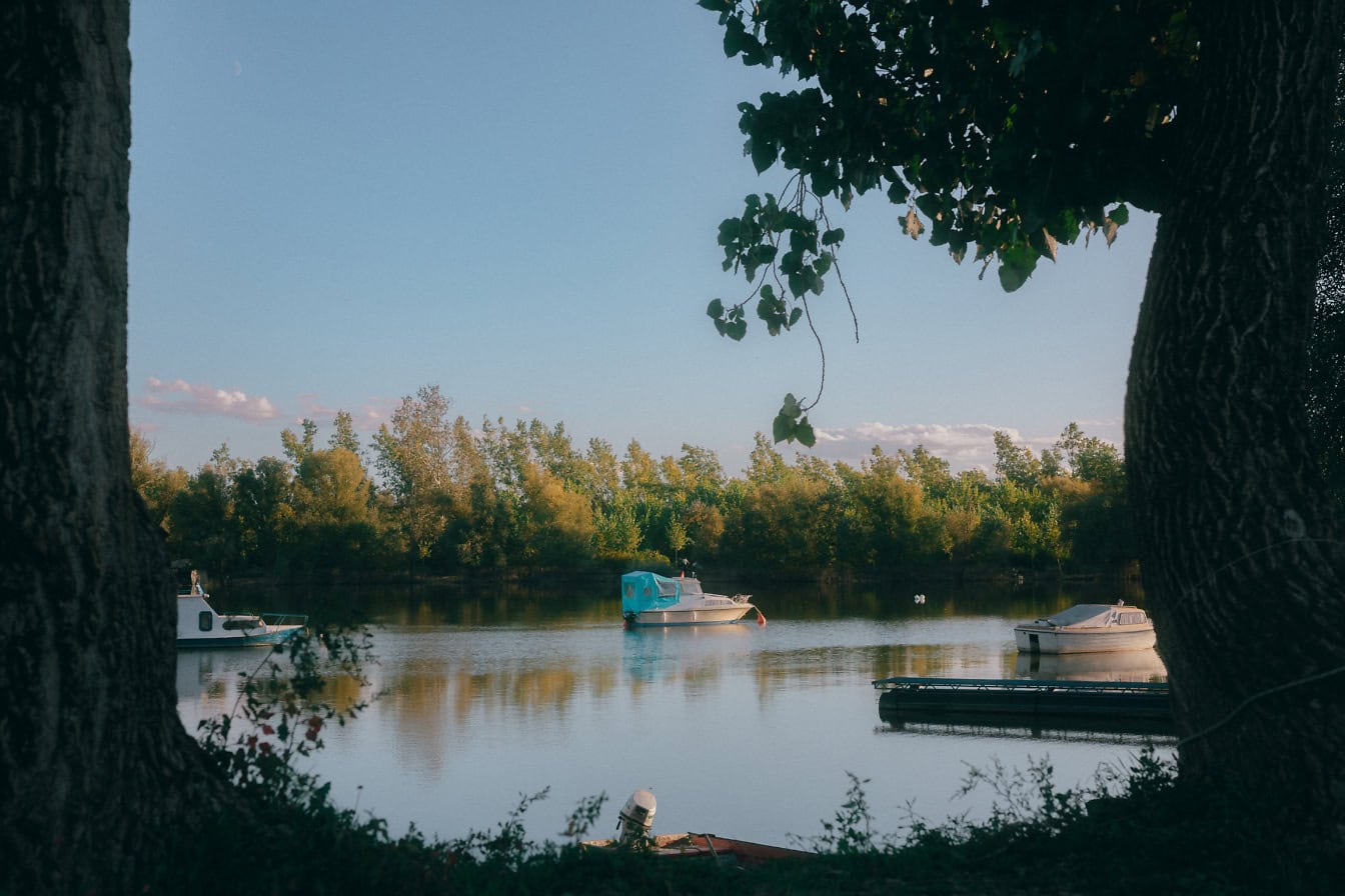 ทิวทัศน์ผ่านต้นไม้ในเงามืดบนชายฝั่งของเรือตกปลาและเรือพักผ่อนหย่อนใจในทะเลสาบ