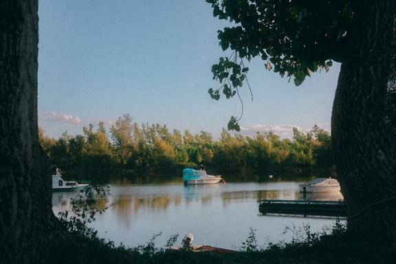 A view through the trees in a shadow on the shore of the fishing and recreational boats in the lake