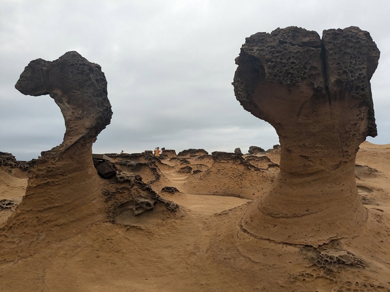 การก่อตัวของหินทรายที่เกิดจากการกัดเซาะในอุทยานธรณี Yehliu แหลมตะกอนในเขต Wanli นิวไทเป ไต้หวัน