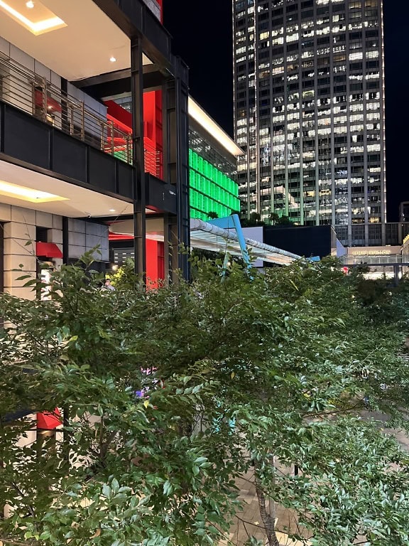 Blick von der Terrasse bei Nacht auf die Wolkenkratzer in der Innenstadt und den Baum neben dem Gebäude