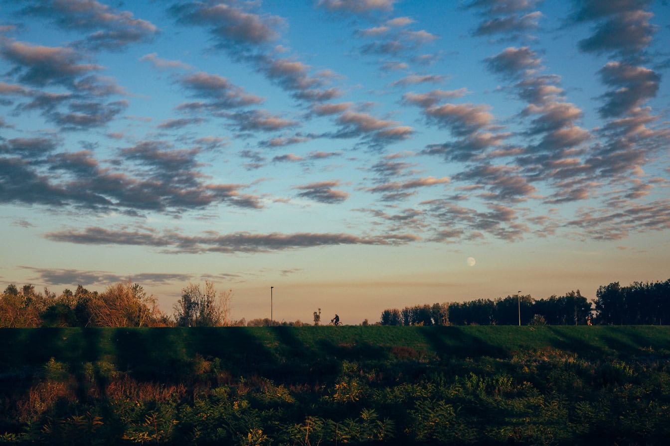 Campo com árvores e nuvens no céu azul no final da tarde