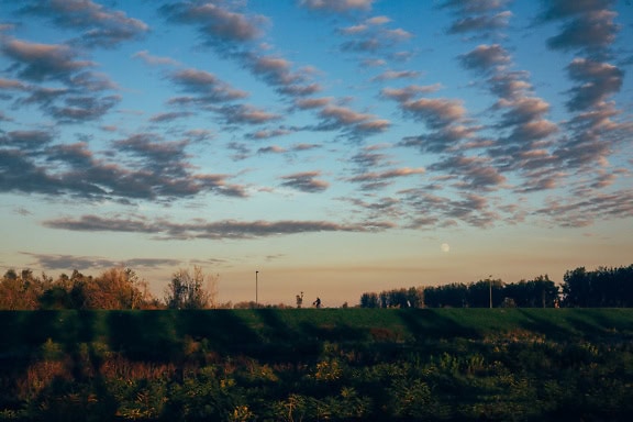 Gebied met bomen en wolken in de blauwe hemel in de late namiddag