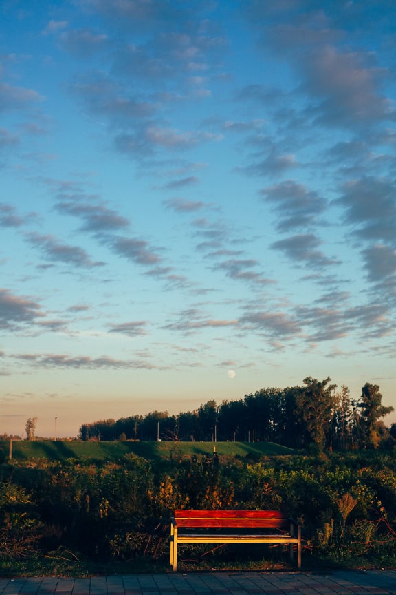 Gele bank met roodachtige planken op een veld met bomen onder een bewolkte blauwe hemel