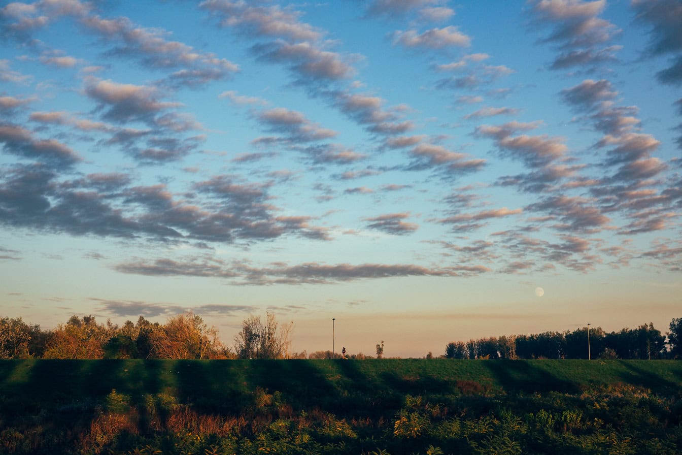 Field overgrown with grass and bushes under cloudy sky