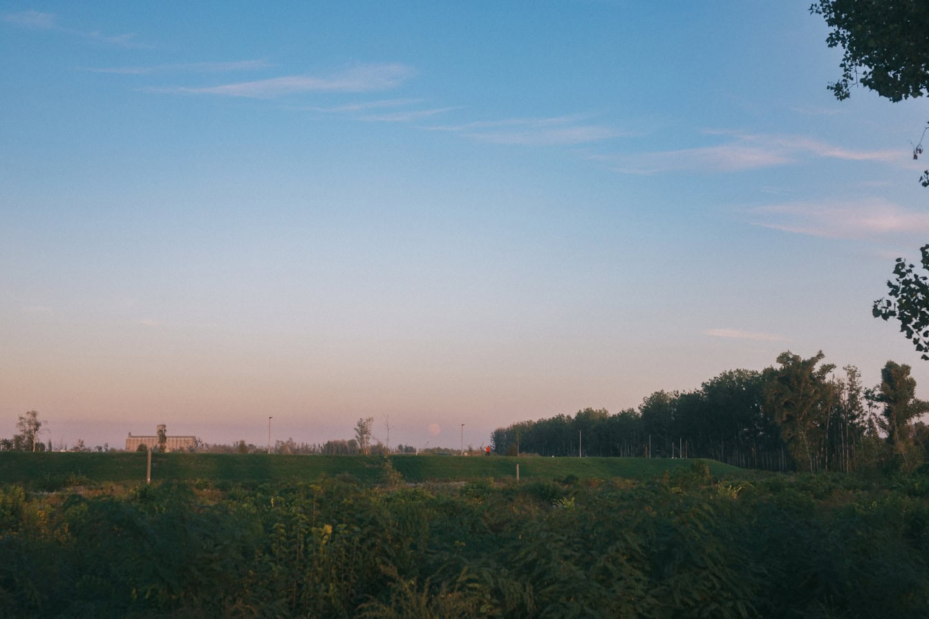 Trávnaté pole porastené živými plotmi, vysokou trávou a stromami