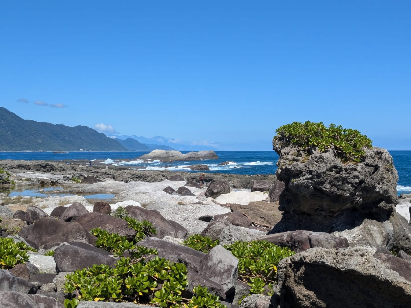 Pantai berbatu dengan tanaman di garis pantai laut dekat Hualien, Taiwan