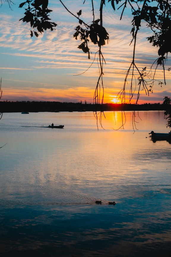 Vertical landscape photograph of a lakeside just before sunset