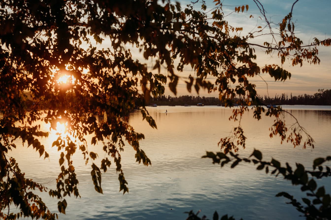 Een mening van een meerkant door boomtakken over een meerwater net voor zonsondergang, Tikvara natuurreservaat, Backa Palanka, Servië