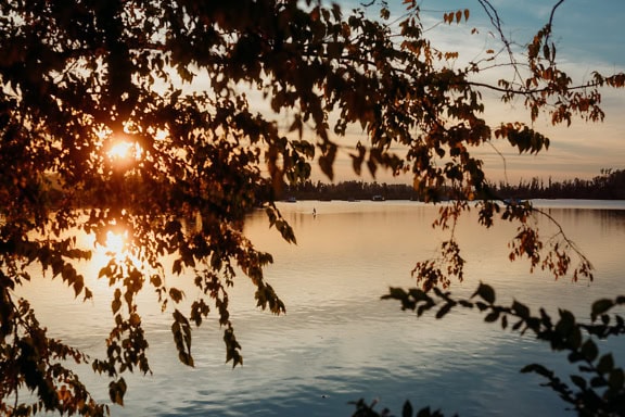 A view of a lakeside through tree branches over a lake water just before sunset, Tikvara natural reserve, Backa Palanka, Serbia