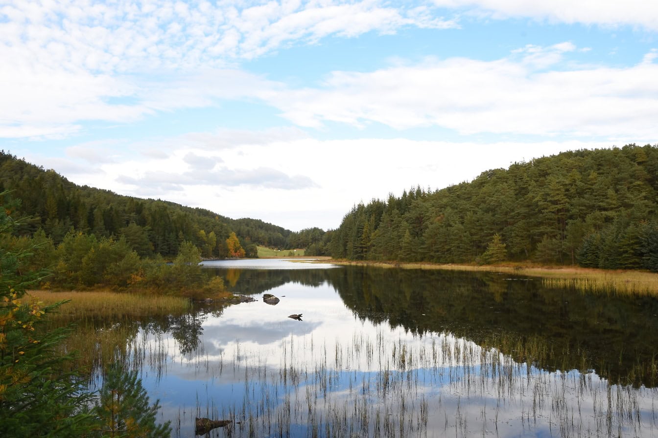 Puiden ympäröimä järvimaisema Länsi-Norjassa