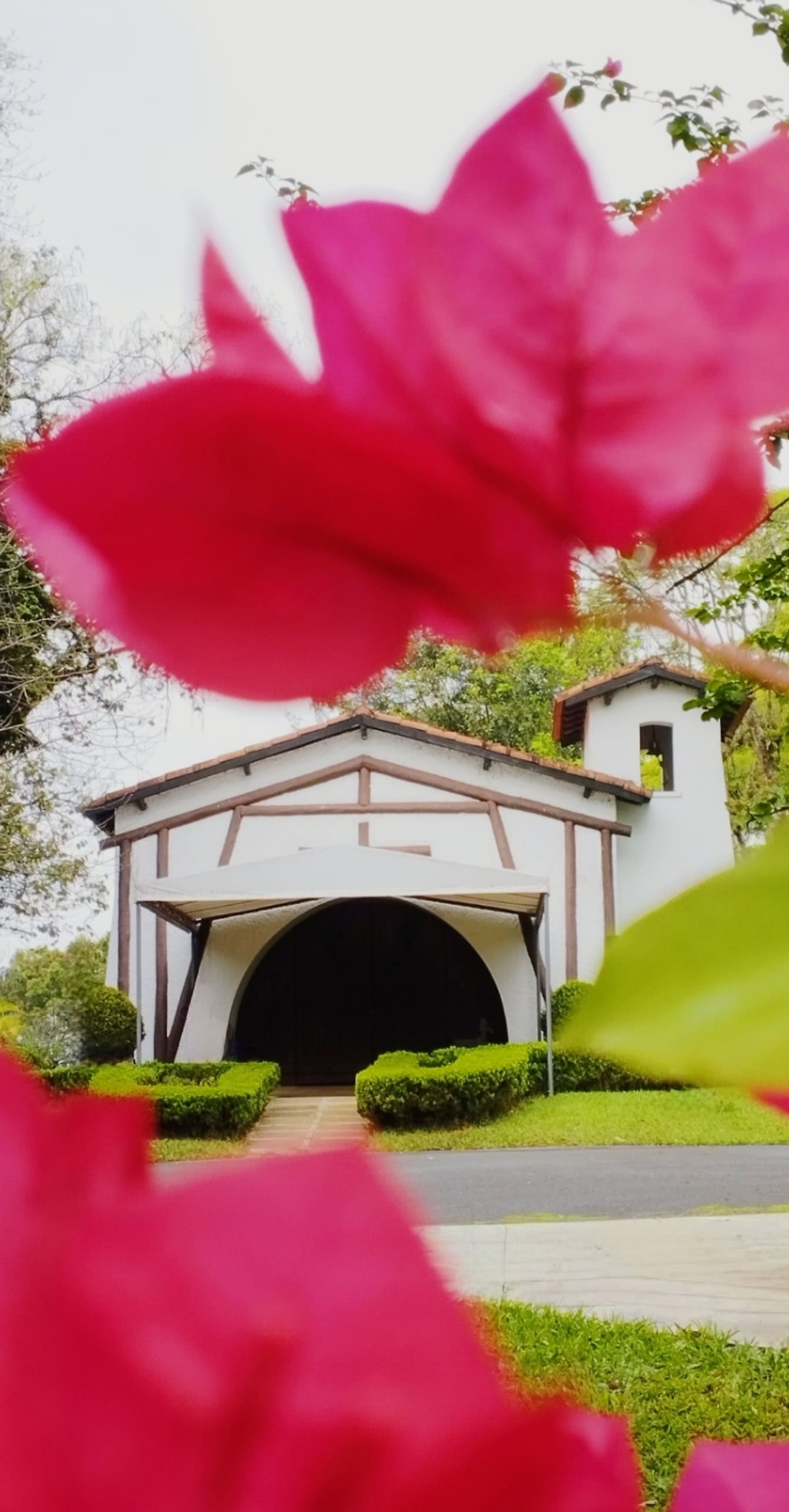 Vue de la maison avec porte de garage ouverte à travers des buissons en fleurs