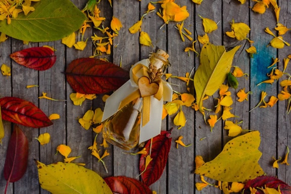 Small bottle of aromatic oil decorated with heart on a wooden table with orange-yellow leaves, a perfect romantic gift