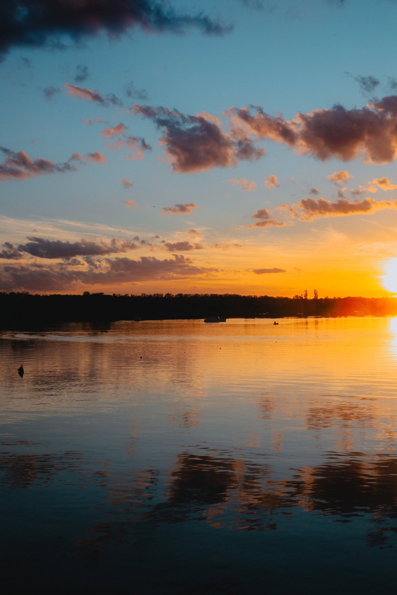 Photographie de paysage vertical d’un lever de soleil sur le bord d’un lac dans la réserve naturelle de Tikvara, Backa Palanka, Serbie