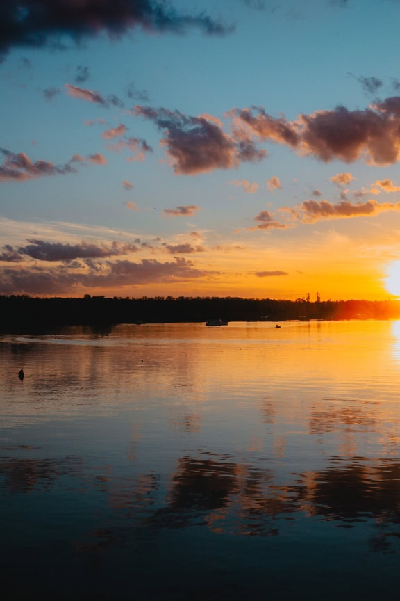 Pystysuuntainen maisemakuva auringonnoususta järven rannalla Tikvaran luonnonsuojelualueella, Backa Palanka, Serbia