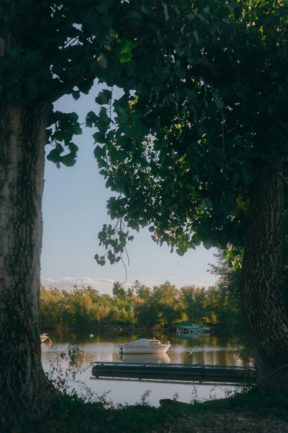 Blick durch Baumstämme auf Freizeitboote auf dem See