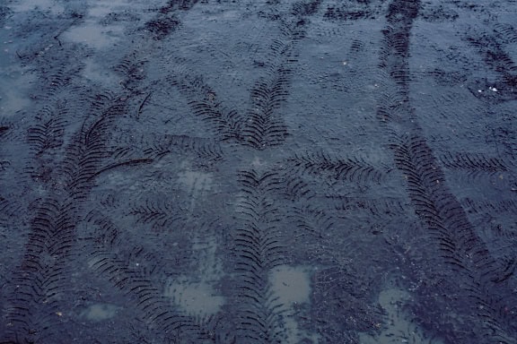 Tire tracks in the wet and muddy ground, a texture of a dirt road with wet ground