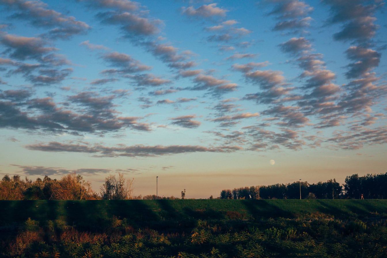 Langit biru mendung saat senja di atas ladang hijau yang ditumbuhi semak-semak