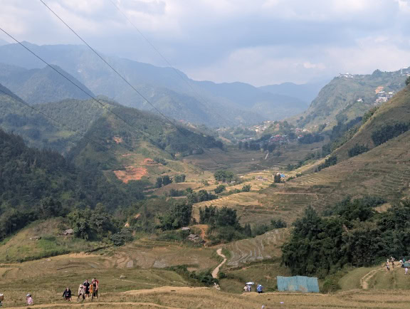 Terasovitá rýžová pole na hoře, letecký panoramatický pohled do údolí, Vietnamská socialistická republika, jihovýchodní Asie