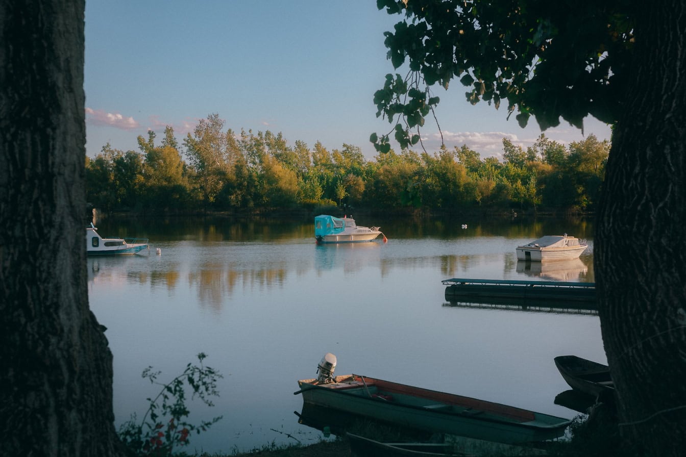 Kleine Angel- und Freizeitmotorboote auf einem See mit Bäumen im Hintergrund