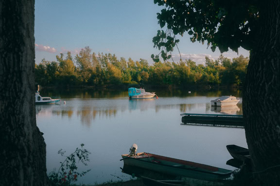 Petits bateaux à moteur de pêche et de plaisance sur un lac avec des arbres en arrière-plan