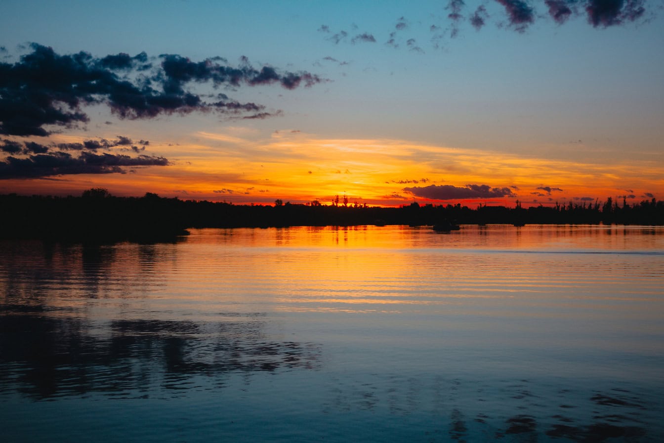 Soluppgång över en sjö i ett nationellt reservat Tikvara i Backa Palanka, Vojvodina, Serbien