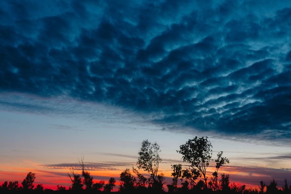 Majestueus landschap van een schemering over silhouetten van bomen met kleuring van hemel van donkerblauwe wolken tot roodachtig zonlicht op hemel