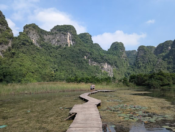 Pasarela de madera sobre el agua del pantano con plantas acuáticas y selva de montaña en el fondo, norte de Vietnam, sudeste asiático