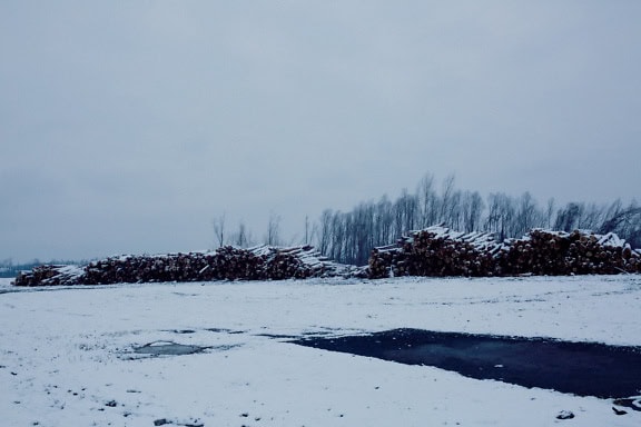 Pilha de toras em um campo nevado, um depósito industrial de madeira ao ar livre