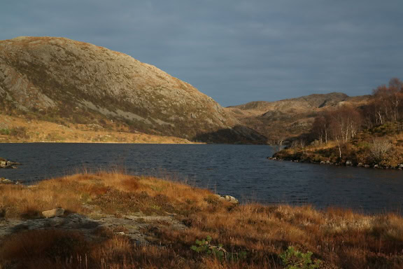 Zi însorită în octombrie pe malul lacului în parcul natural, Norvegia, Scandinavia